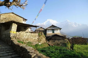 1 DAY TOUR IN NEPAL