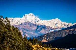 How to choose the best Poon hill trek itinerary