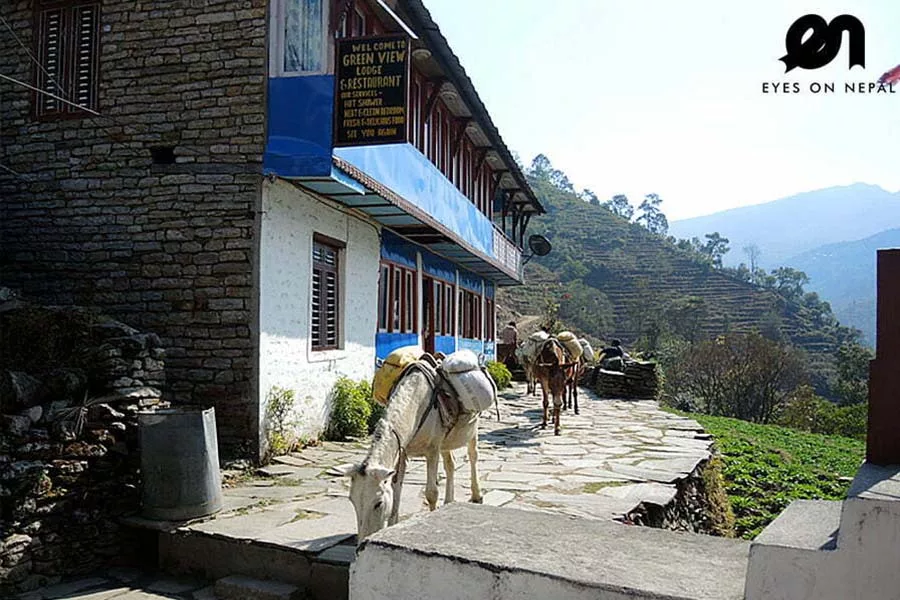 Ulleri- 3 days short trek from Pokhara
