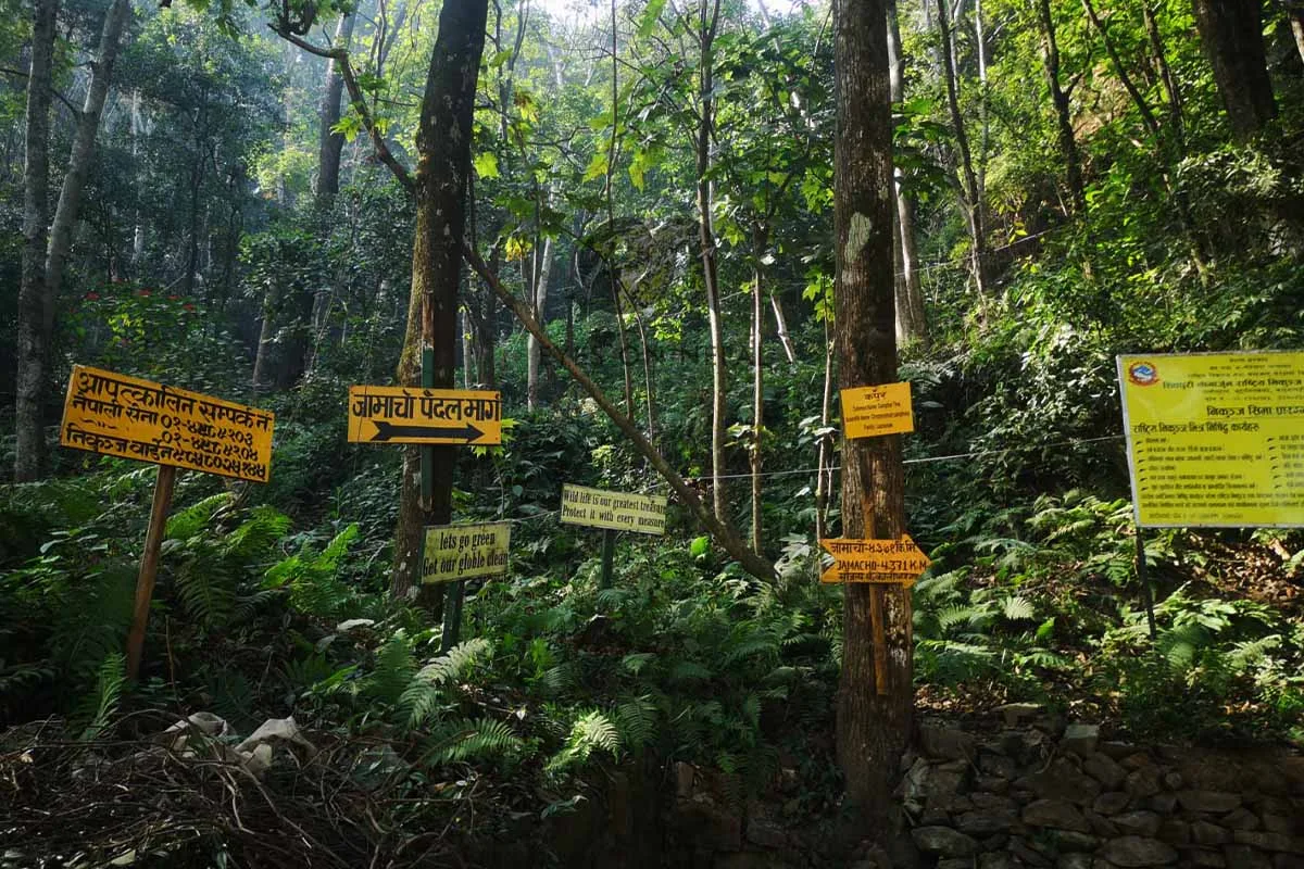 Shivapuri Nagarjun day hiking from Kathmandu